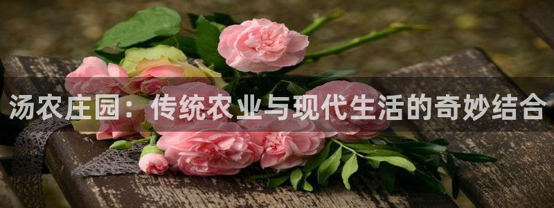 大庆天辰娱乐
