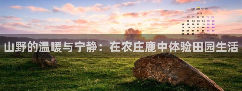 天辰娱乐2