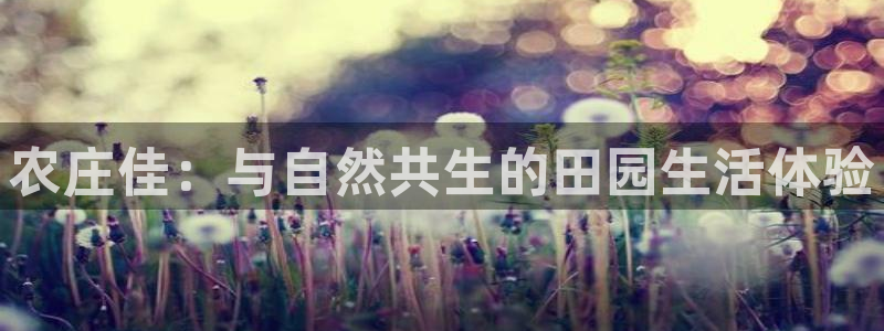 菲律宾天辰娱乐