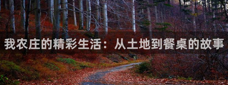 天辰娱乐 44516