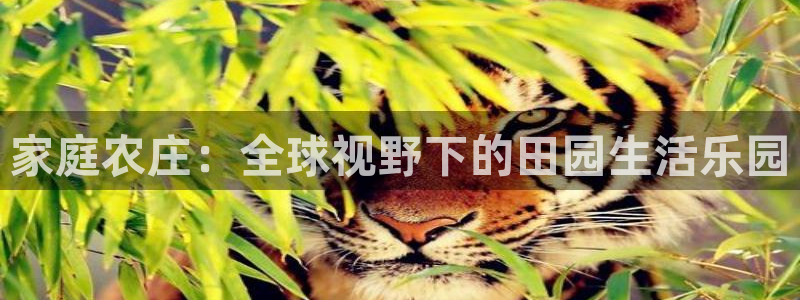 天辰娱乐娱乐平台