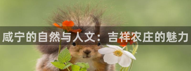 天辰娱乐游客