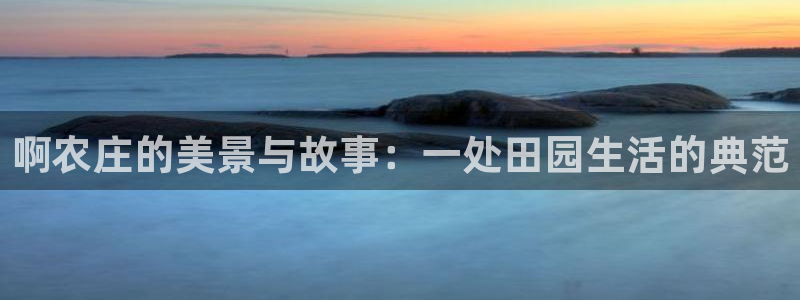 天辰娱乐黑人