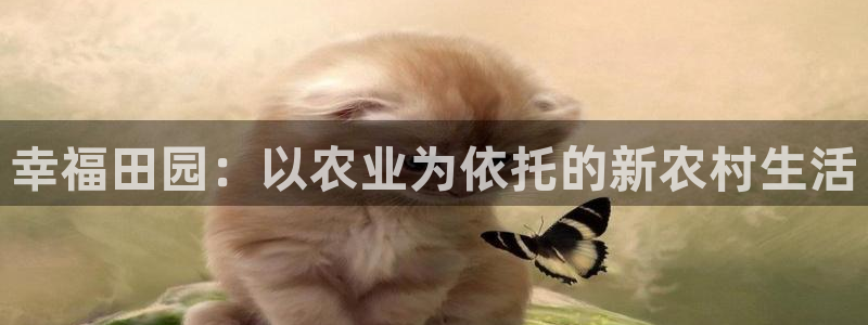 天辰娱乐解封