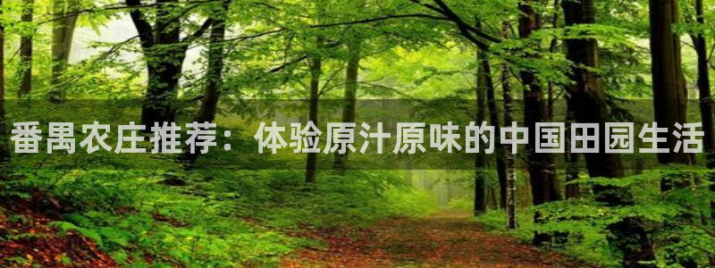 天辰娱乐客服