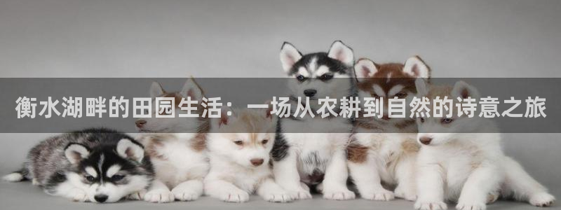 大庆天辰娱乐