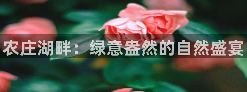 天辰娱乐1956