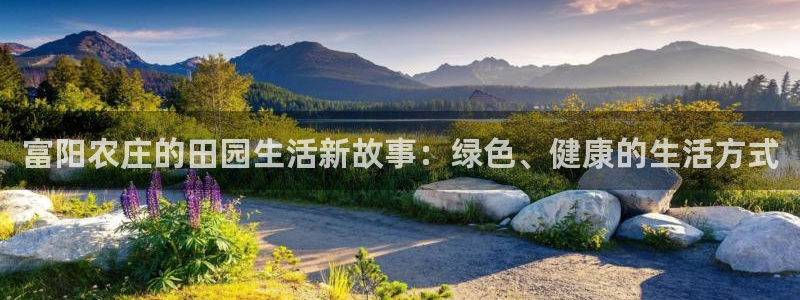 天辰宝宝娱乐
