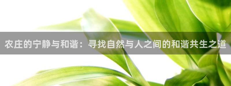 天辰娱乐1956