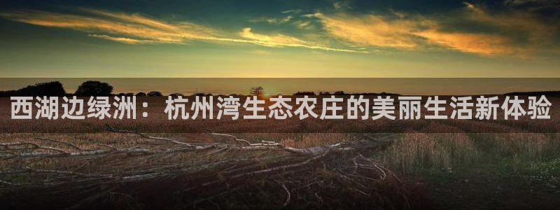 天辰娱乐白屏