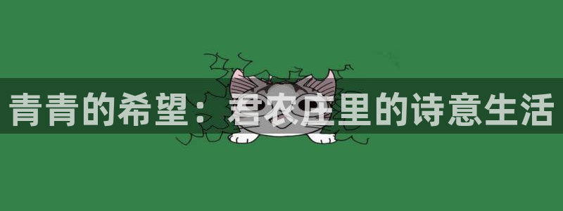 天辰娱乐登录测试