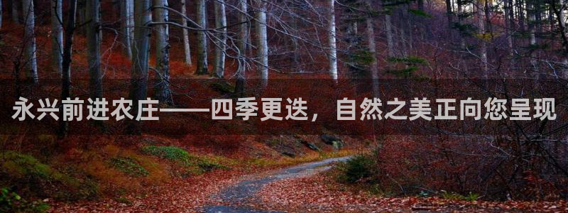 天辰娱乐平台登录账号