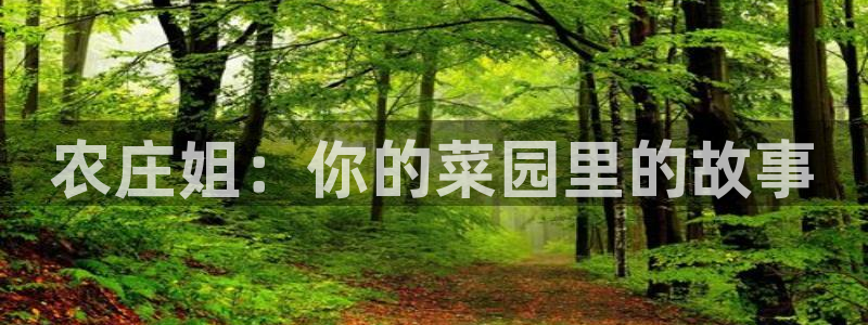 天辰娱乐娱乐注册