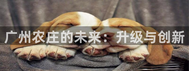 天辰娱乐注册登录