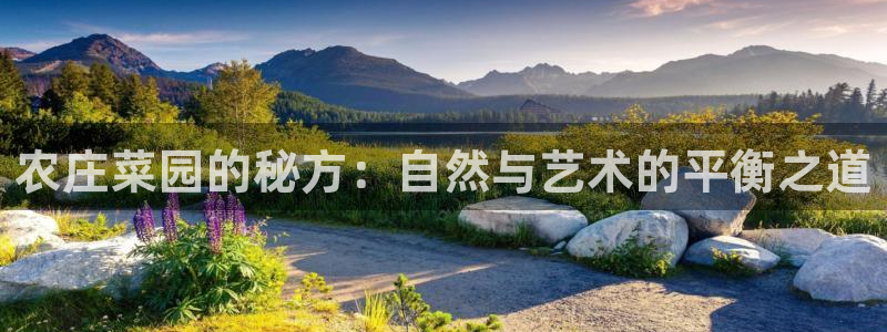 天辰团队贝高娱乐