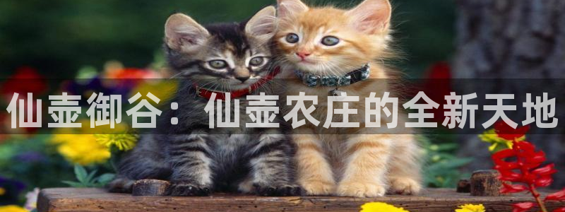 天辰娱乐官网平台下载