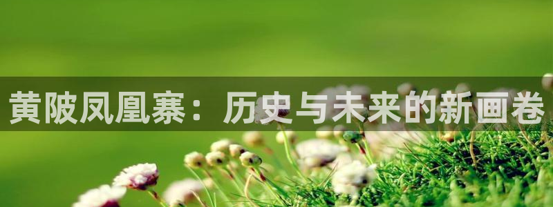 天辰娱乐天辰宝