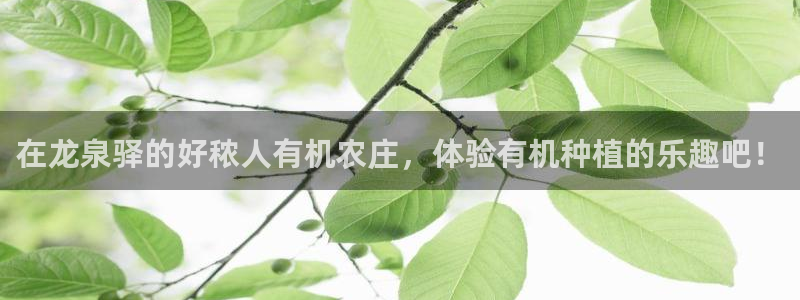 天辰娱乐在线登录注册
