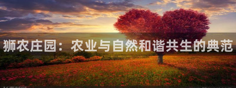 天辰娱乐平台安全吗