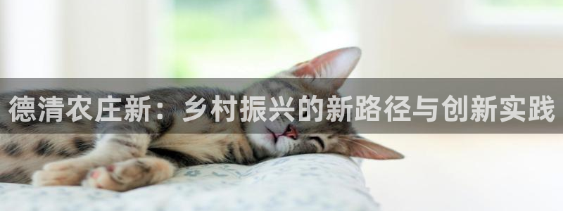 天辰娱乐平台注册