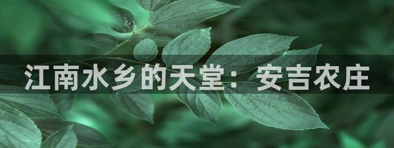 天辰娱乐跑的快