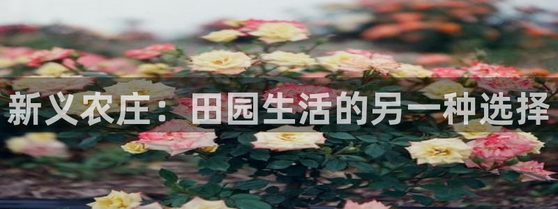 天辰娱乐指尖所