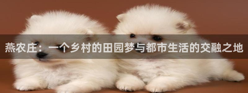 天辰娱乐平台安全吗