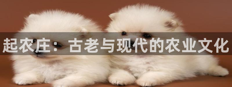 天辰娱乐指尖所