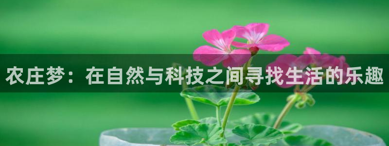 天辰娱乐平台