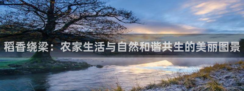 天辰娱乐官网平台下载