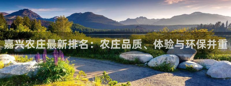 天辰(娱乐注册