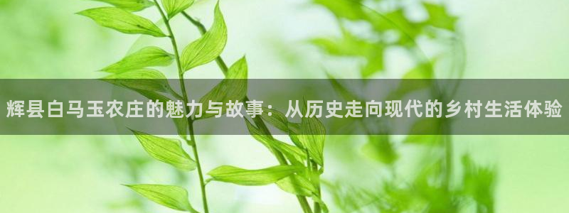 天辰娱乐元宝