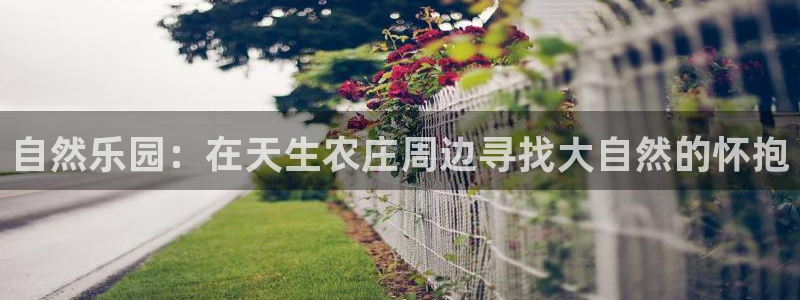 天辰娱乐传媒