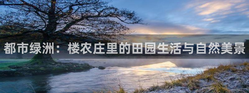 深圳天辰娱乐