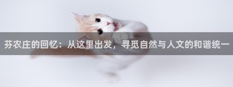 天辰娱乐在线登录注册