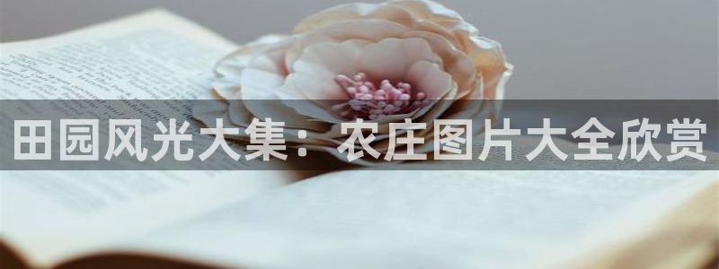 天辰娱乐娱乐平台