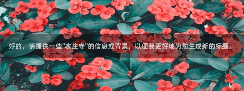 天辰娱乐上级