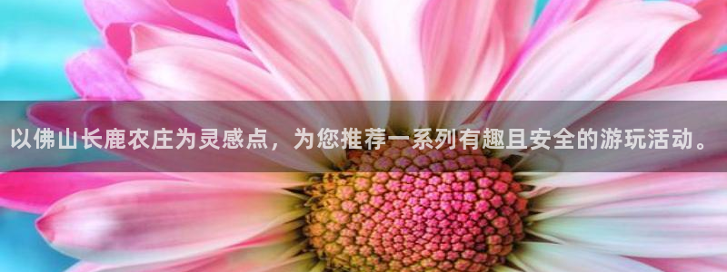 天辰娱乐61116