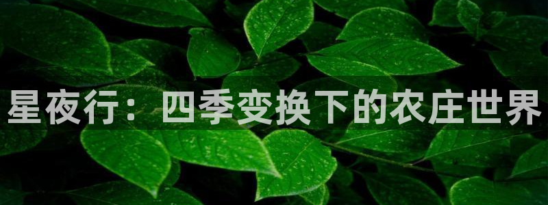 天辰说娱乐