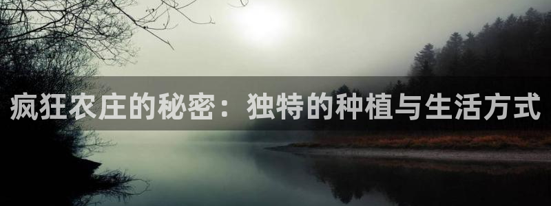 天辰娱乐44516