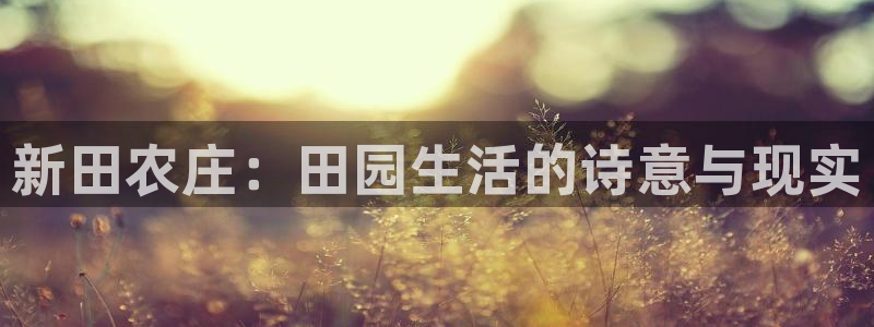 天辰app娱乐