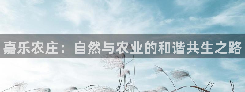 天辰娱乐维护