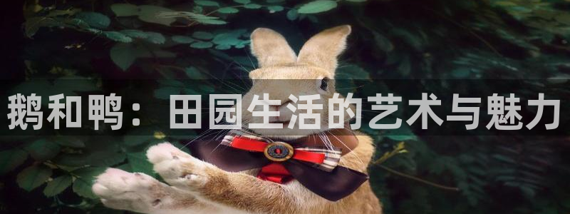 天辰娱乐平台app下载