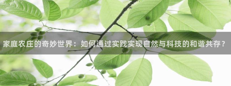 天辰娱乐视频